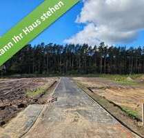 Haus zum Kaufen in Hambühren 336.290,00 € 106 m²