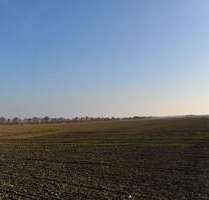 Grundstück zu verkaufen in Wiedemar 115.000,00 € 1476 m²