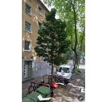 Wohnung zum Kaufen in Oberhausen 80.000,00 € 52 m²