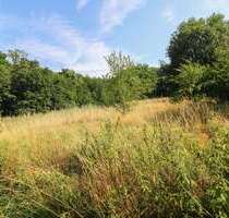 Grundstück zu verkaufen in Pommelsbrunn 298.000,00 € 882 m²