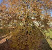 Wohnung zum Kaufen in Regensburg 270.000,00 € 64.35 m²