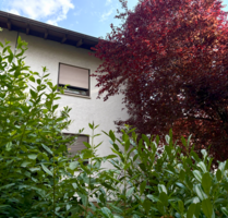 Haus zum Kaufen in Freiburg im Breisgau 395.000,00 € 110 m²