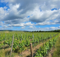 Haus zum Kaufen in wiesbaden 1.500.000,00 € 162 m²