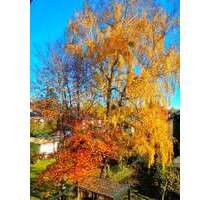 Wohnung zum Kaufen in Kirchseeon 339.000,00 € 74 m²