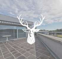 Wohnung zum Mieten in Waldshut-Tiengen 1.150,00 € 146 m²