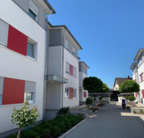 Wohnung zum Mieten in Kehl 650,00 € 51 m²