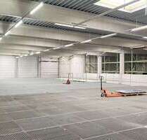 Halle in Zornheim 880,00 € 463.9 m²