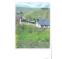 Grundstück zu verkaufen in Mundelsheim 88.000,00 € 310 m²