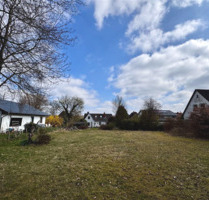 Grundstück zu verkaufen in Buchholz in der Nordheide 549.000,00 € 2351 m²