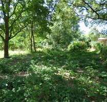 Grundstück zu verkaufen in Werder (Havel) 299.000,00 € 660 m²