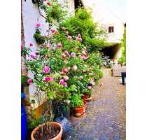 Haus zum Kaufen in Ludwigshafen 630.000,00 € 160 m²