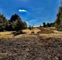 Grundstück zu verkaufen in Bargfeld-Stegen 360.000,00 € 1395 m²