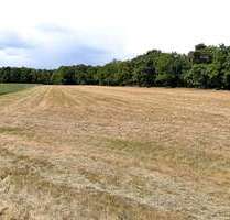 Grundstück zu verkaufen in Lengerich 100.000,00 € 12447 m²