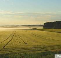 Grundstück zu verkaufen in Tecklenburg 499.000,00 € 52947 m²