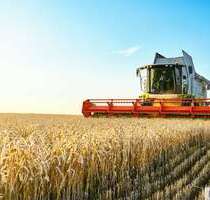 Grundstück zu verkaufen in Ibbenbüren 112.236,00 € 9353 m²