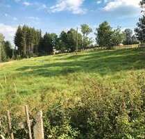 Grundstück zu verkaufen in Mildenau OT Arnsfeld 62.300,00 € 3246 m²