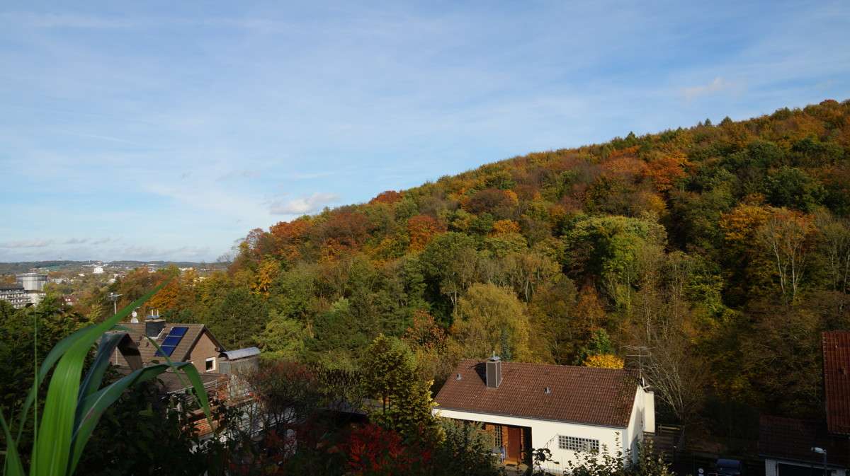 Grundstück zu verkaufen in Wuppertal 249.000,00 € 438 m²