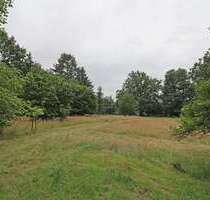 Grundstück zu verkaufen in Dannenberg (Elbe) 95.000,00 € 3738 m²