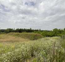 Grundstück in FürstenwaldeSpree 139.000,00 € 1000 m² - Fürstenwalde/Spree