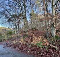 Grundstück zu verkaufen in Kaiserslautern 99.000,00 € 1242 m²