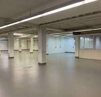 Halle in Frankfurt am Main 2.850,00 € 500 m²