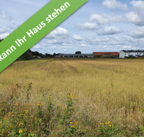 Haus zum Kaufen in Meinersen 362.500,00 € 166 m²