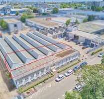 Halle in Mannheim 3.700,00 € 445 m²