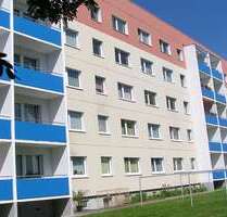 Wohnung zum Mieten in Oschatz 320,00 € 58.73 m²