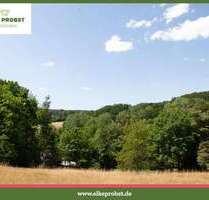 Grundstück zu verkaufen in Tiefenbach 79.800,00 € 2162 m²