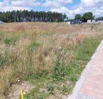 Grundstück zu verkaufen in Bergen OT Tilzow 116.700,00 € 654 m²