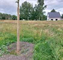 Grundstück zu verkaufen in Bergen OT Tilzow 132.900,00 € 790 m²