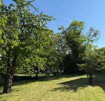 Haus zum Kaufen in Höchberg 695.000,00 € 113 m²