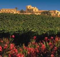 Grundstück zu verkaufen in Caltaniasetta 20.000.000,00 € 2540000 m²