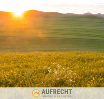 Grundstück in Jetzendorf 69.800,00 € 4630 m²