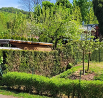 Haus zum Kaufen in Hainrode-Teichtal Thüringen 149.900,00 € 100 m² - Hainrode-Teichtal Thüringen
