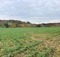 Grundstück in Rüthen 250.000,00 € 24889 m²