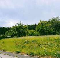Grundstück zu verkaufen in Albstadt 250.000,00 € 778 m²