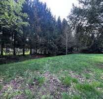 Grundstück zu verkaufen in Bad Schmiedeberg 40.000,00 € 1109 m²