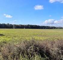 Grundstück zu verkaufen in Osloß 201.000,00 € 804 m²