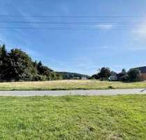 Grundstück zu verkaufen in Steina 99.000,00 € 1182 m²