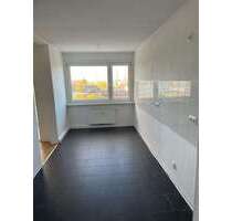 Wohnung zum Mieten in Düsseldorf 510,00 € 40.78 m²