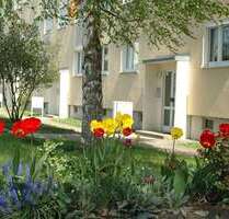 Wohnung zum Mieten in Pirna 354,14 € 57.12 m²