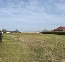 Grundstück zu verkaufen in Hollendorf 145.000,00 € 1322 m²