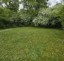 Haus zum Kaufen in Mannheim 1.200.000,00 € 259.2 m²