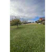 Grundstück zu verkaufen in Wertheim 220.000,00 € 2268 m²