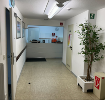 Büro in Gießen 1.250,00 € 83.34 m²