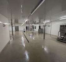 Halle in Dohren 880,00 € 160 m²