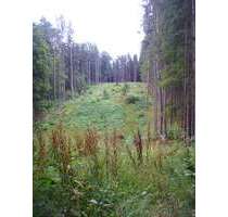 Grundstück in Pfeffenhausen Oberlauterbach 63.500,00 € 9780 m² - Pfeffenhausen / Oberlauterbach