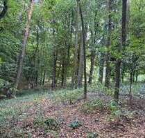 Grundstück in Essenbach Mettenbach 35.070,00 € 5010 m² - Essenbach / Mettenbach