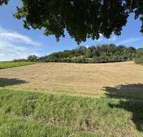 Grundstück in Weng 71.253,00 € 5481 m²